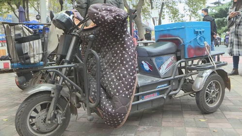 重磅 未來三年限行規定大變化 石家莊道路通行新規則出臺 附變化解讀